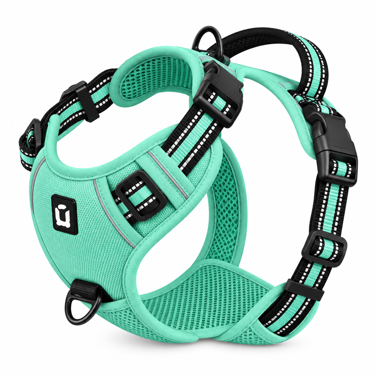 No-pull dog harness in purple colour
