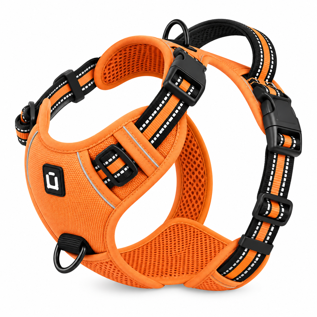 No-pull dog harness in sky blue colour