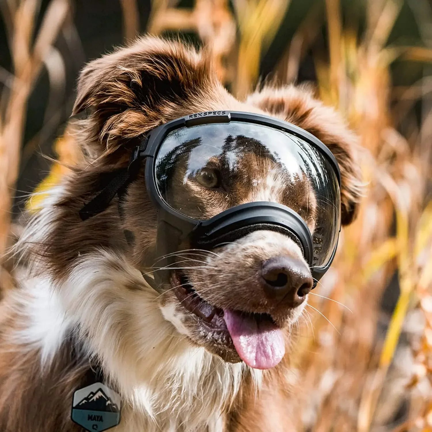 ScritchPets Waterproof Dog Sunglasses