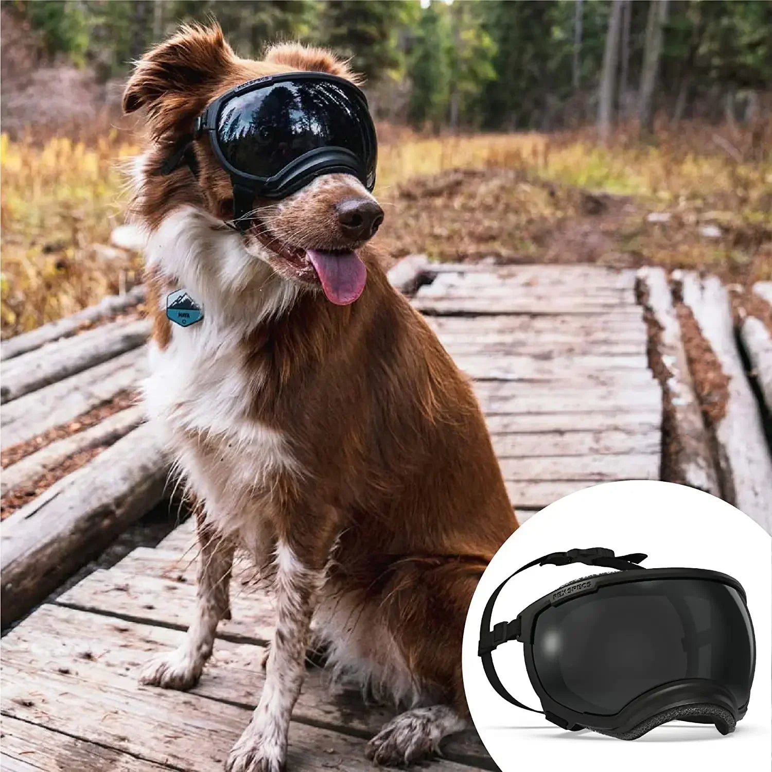 ScritchPets Waterproof Dog Sunglasses