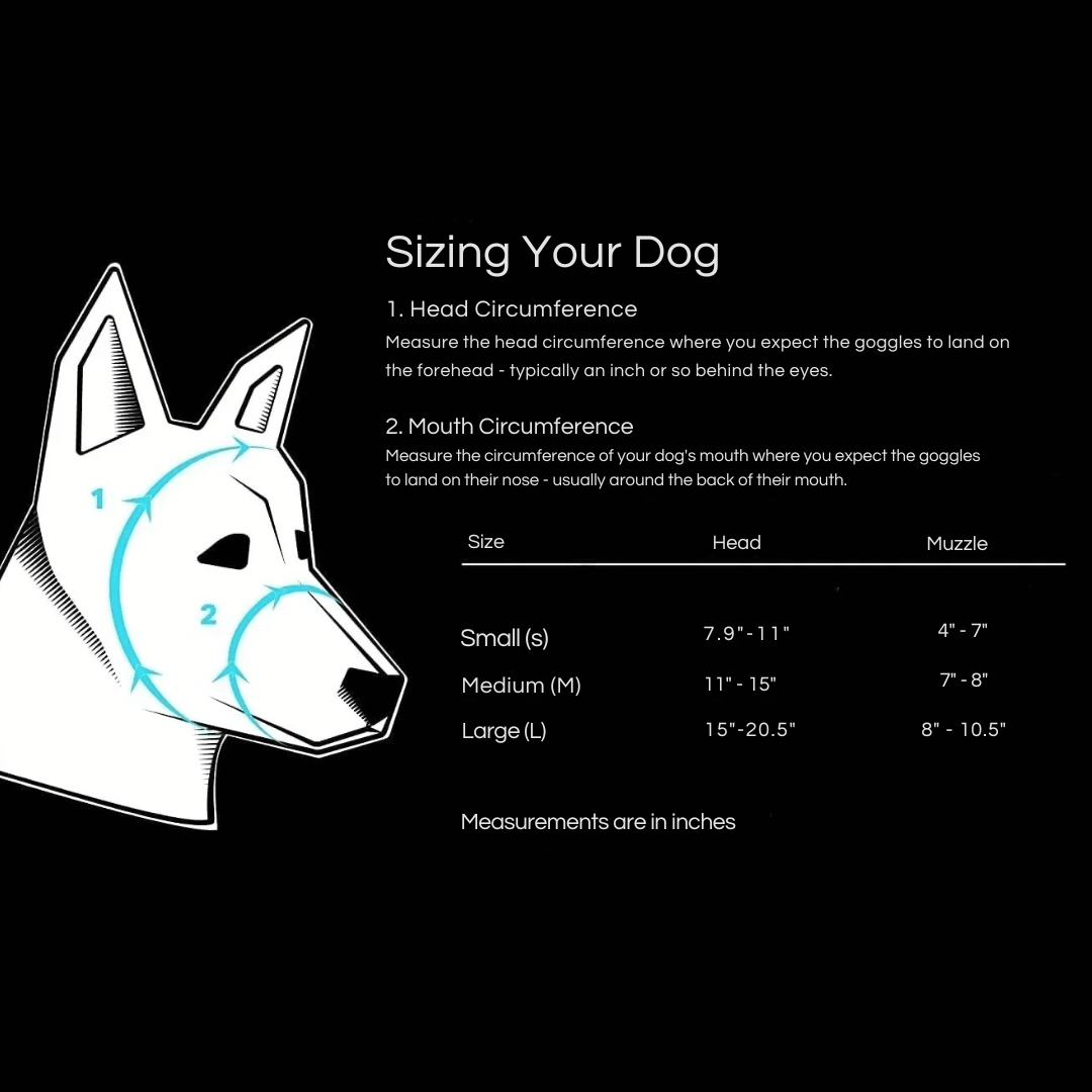 ScritchPets Waterproof Dog Sunglasses