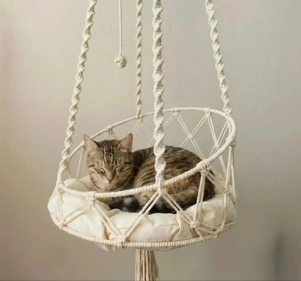 Tabby cat lying inside a cream macrame hanging cat swing with woven rope supports against a neutral background.