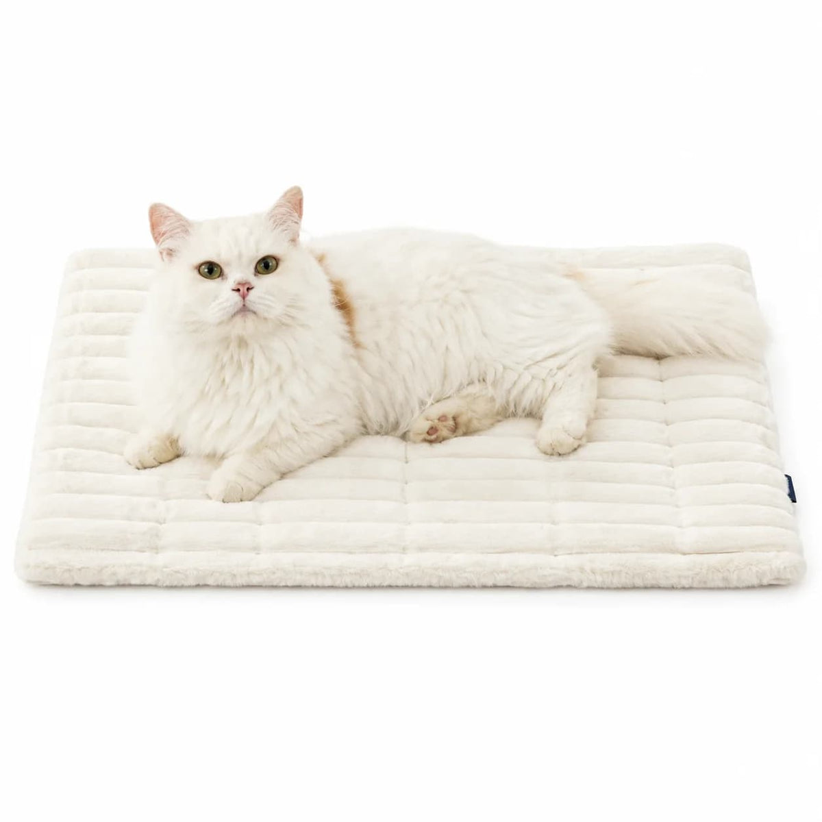 White cat lying comfortably on a soft cream self warming pet mat displayed on a clean white background