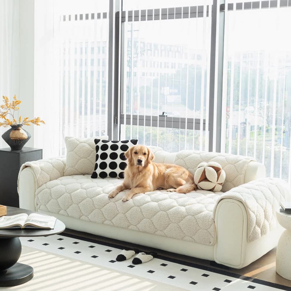 Small dog resting on a cream quilted sherpa fleece sofa protector covering a modern couch
