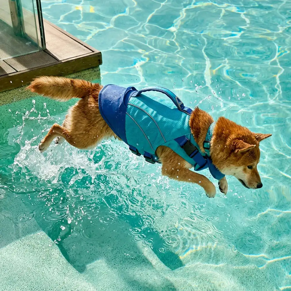 ScritchPets Dog Life Jacket