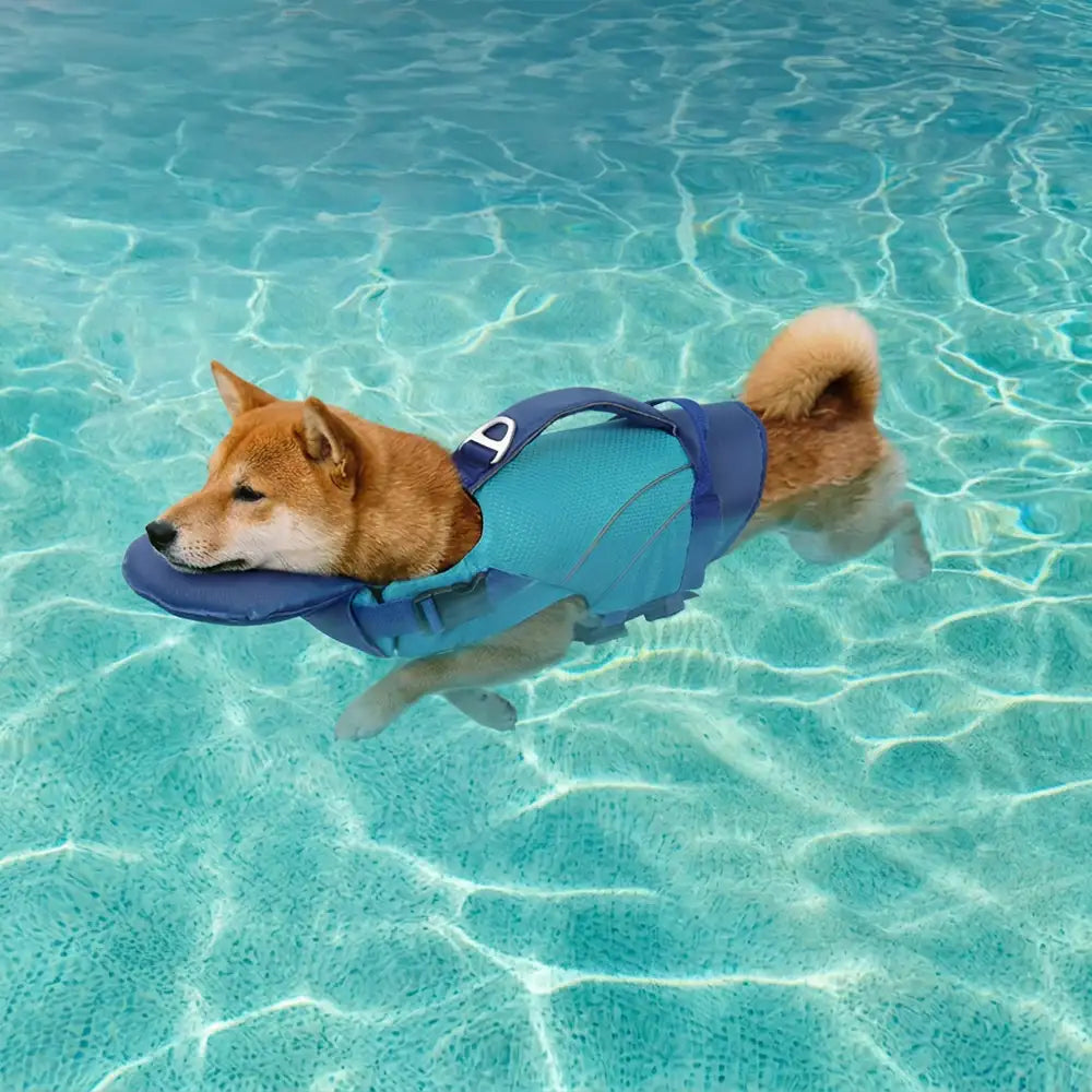 ScritchPets Dog Life Jacket