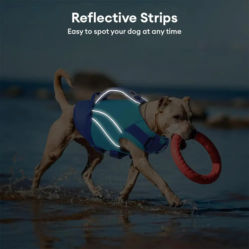 ScritchPets Dog Life Jacket