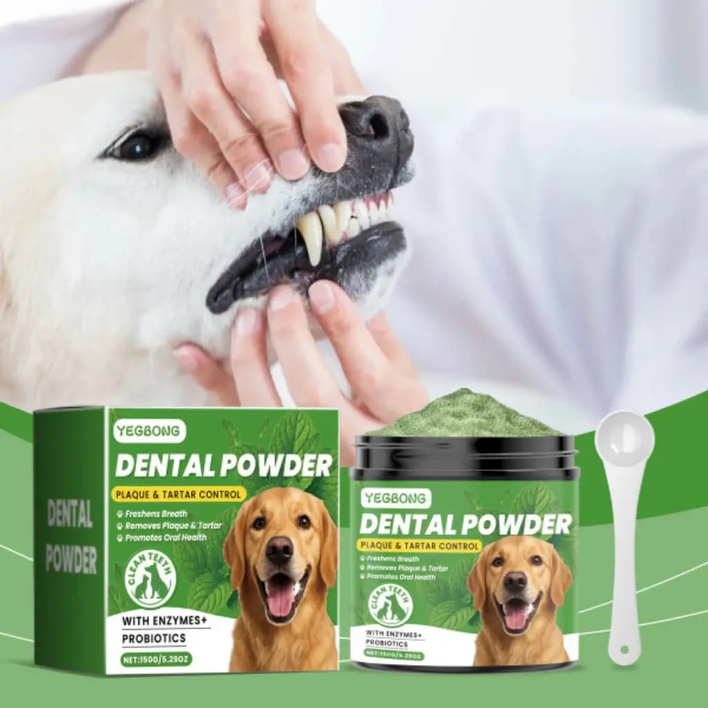 Owner brushing a dog's teeth with ScritchPets dental powder packaging displayed in the foreground.