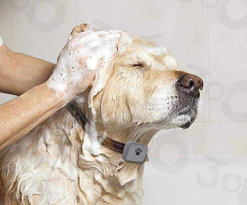 ScritchPets GPS Tracker Max for Dogs