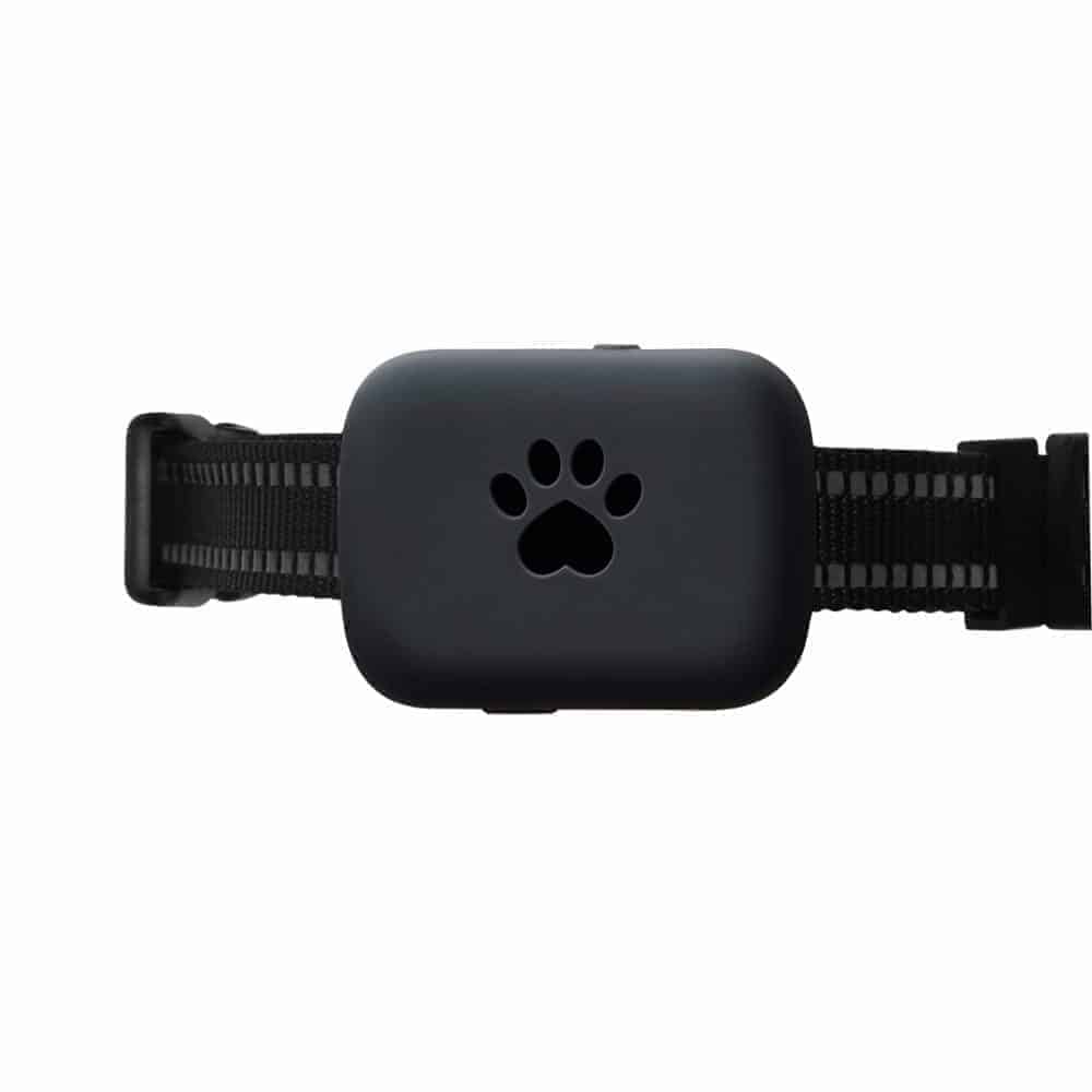 ScritchPets GPS Tracker Max for Dogs