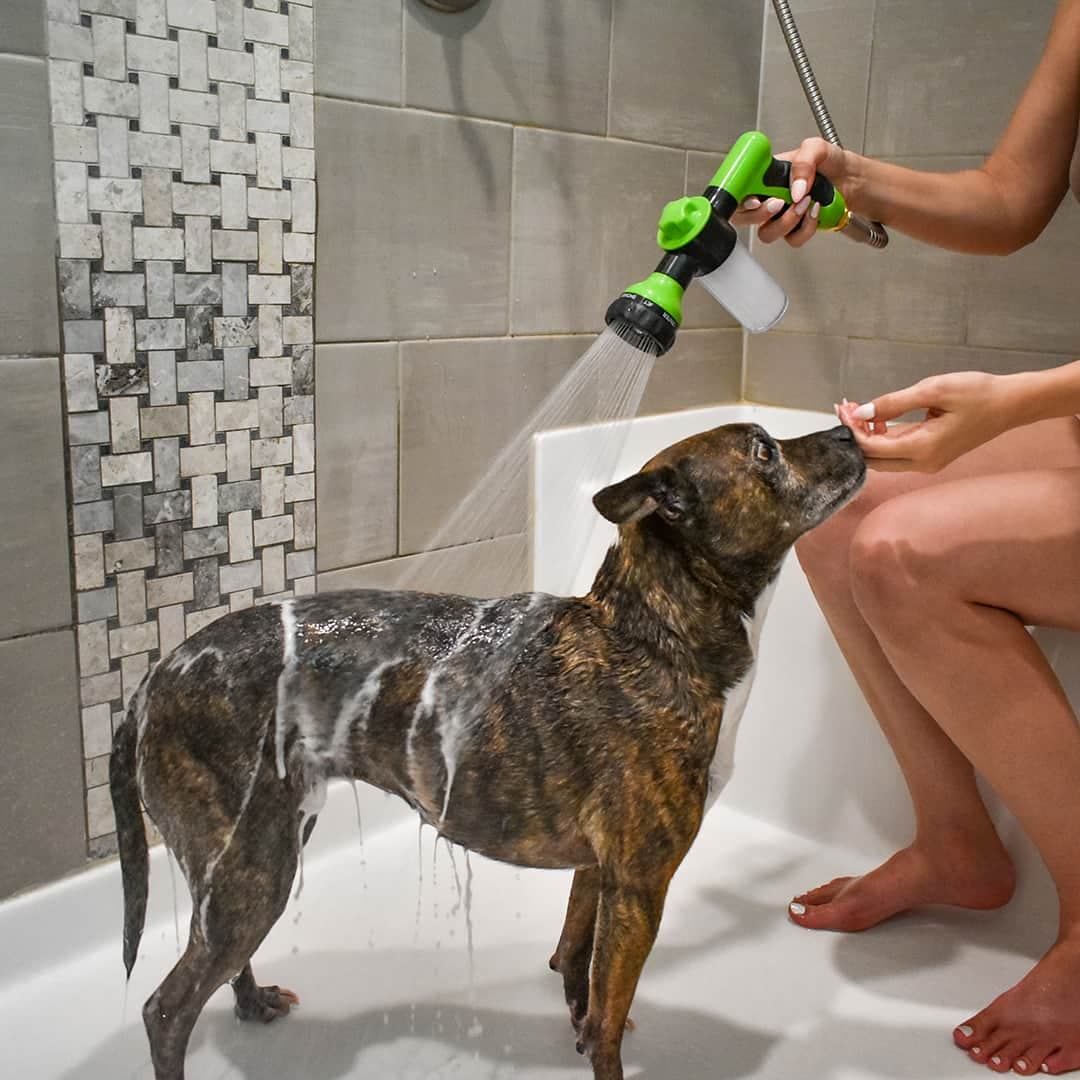 Dog being washed indoors using a handheld shower sprayer with soap dispenser