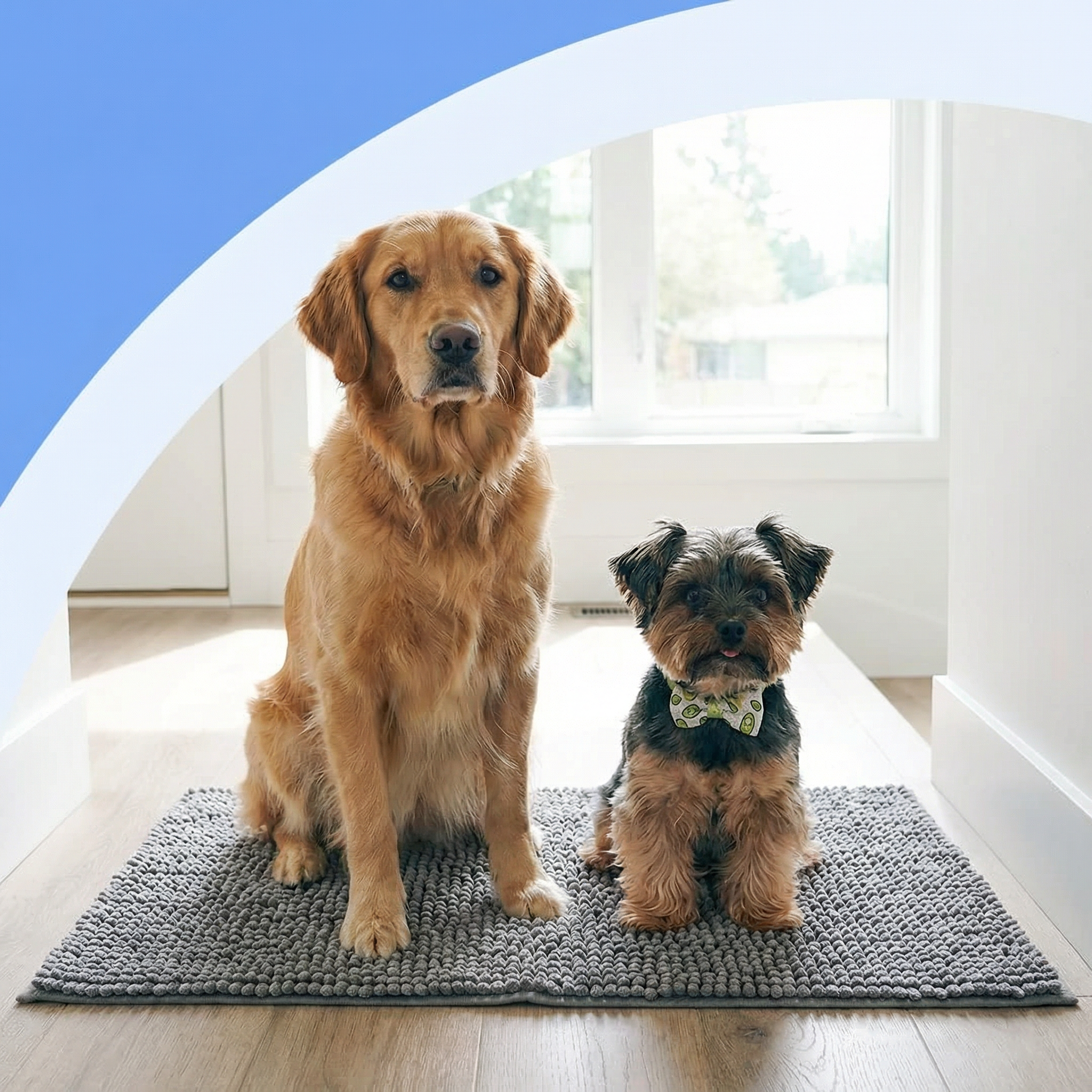 ScritchPets Messy Paws Doormat