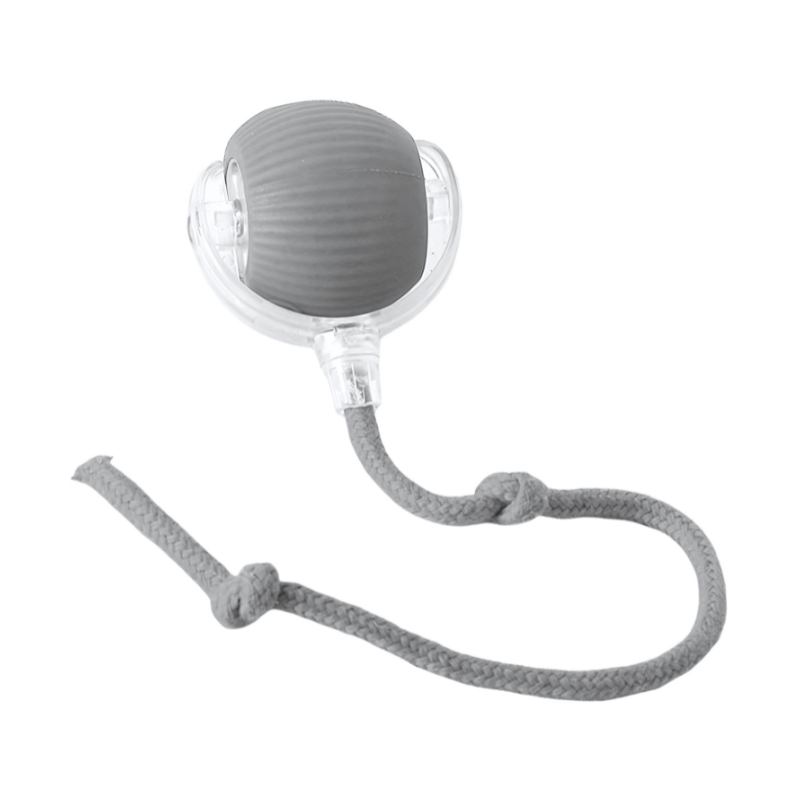 ScritchPets Interactive Dog Chase Ball