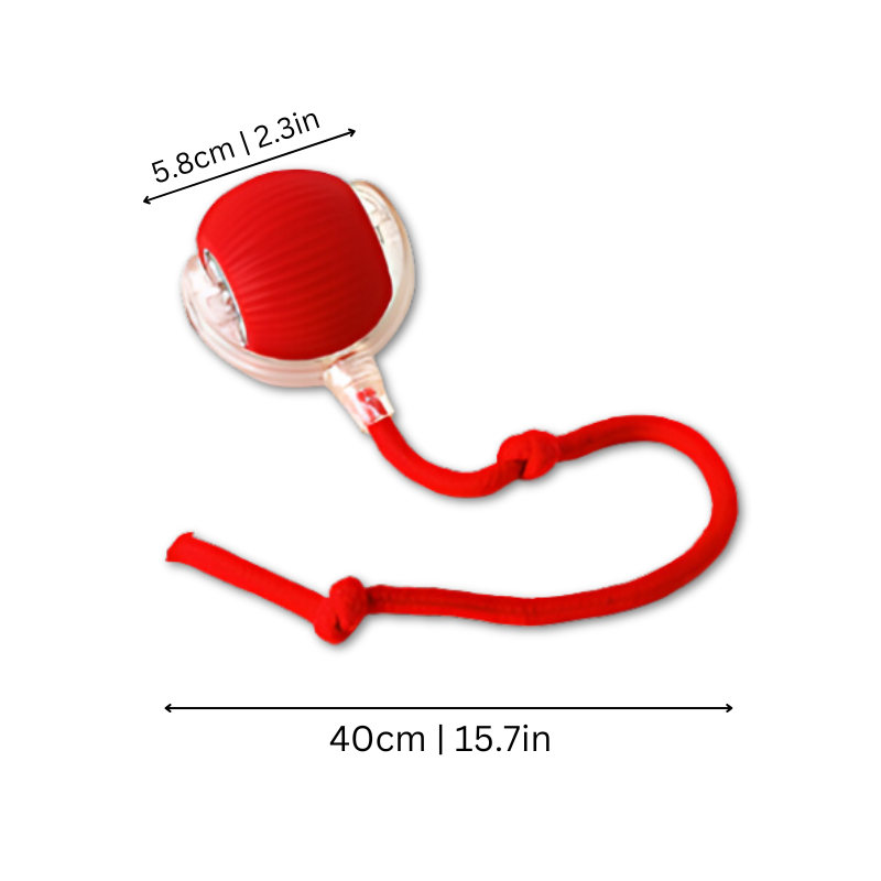 ScritchPets Interactive Dog Chase Ball