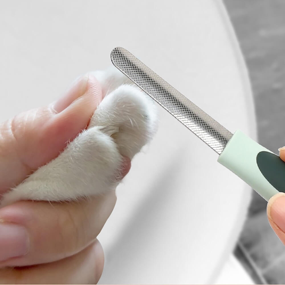 Professional Complete Pet Grooming Set for Dogs & Cats - Image 10