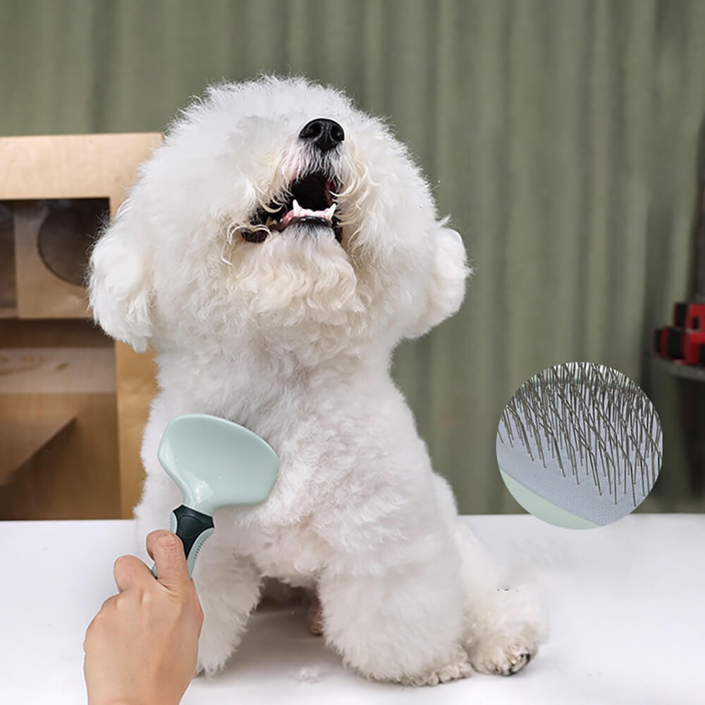 Professional Complete Pet Grooming Set for Dogs & Cats - Image 9