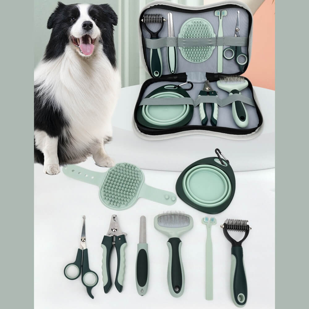 Professional Complete Pet Grooming Set for Dogs & Cats - Image 4