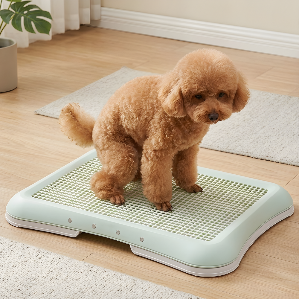ScritchPets Indoor Dog Potty Tray