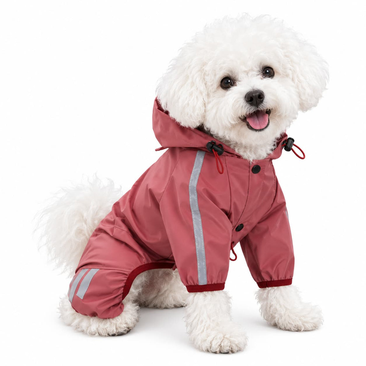 Small white dog wearing a pink waterproof full body raincoat