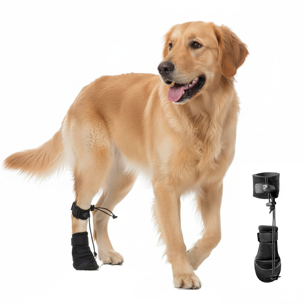 Pawsbetter Professional Dog Knuckling Support Brace, dog knuckling training support, main product view