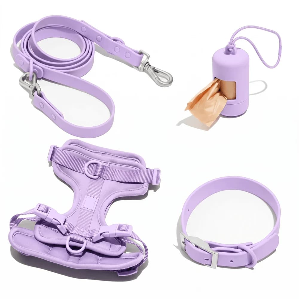 Complete purple dog walking set featuring adjustable harness, matching lead, collar and waste bag holder on a white background.