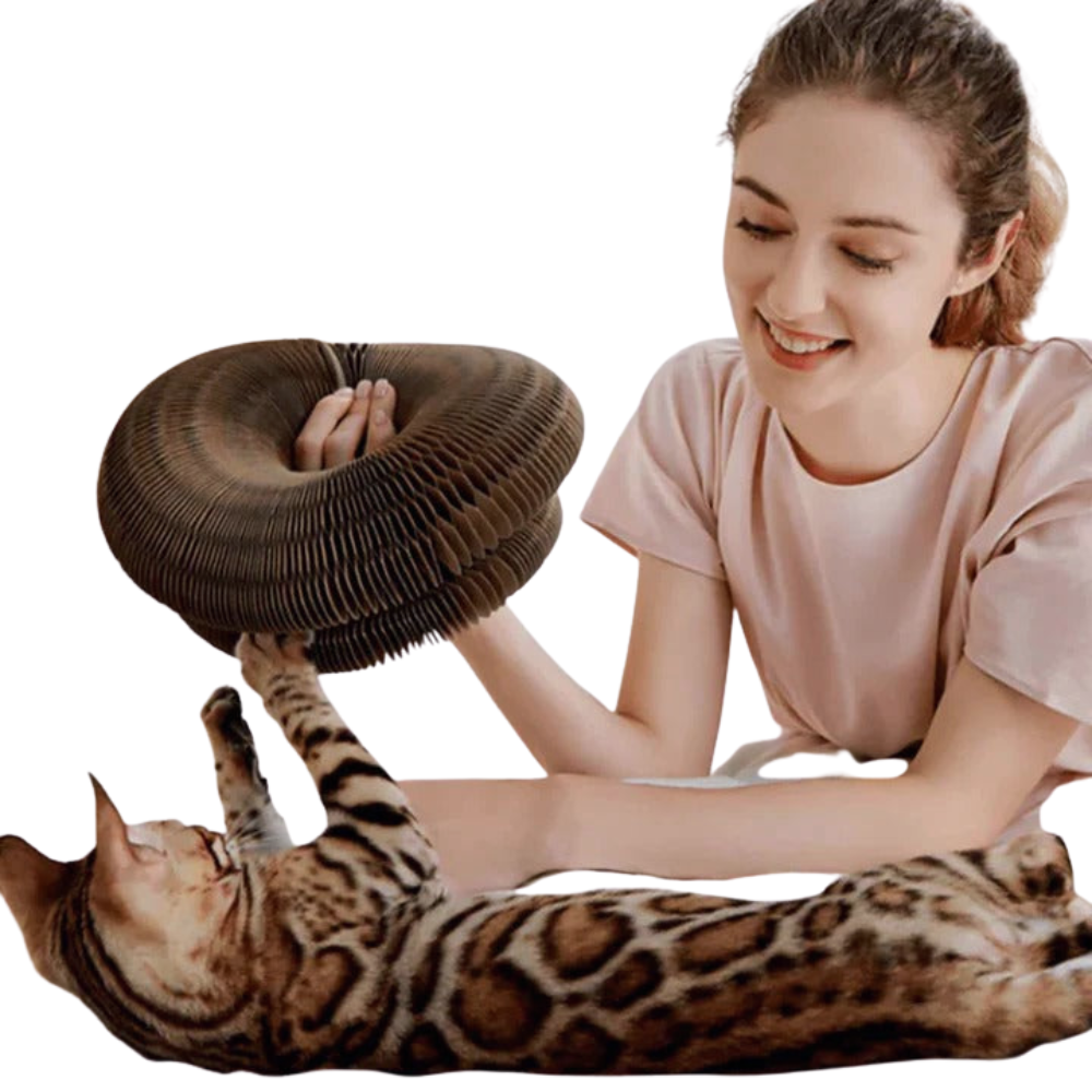 ScritchPets Foldable Cat Scratcher Toy
