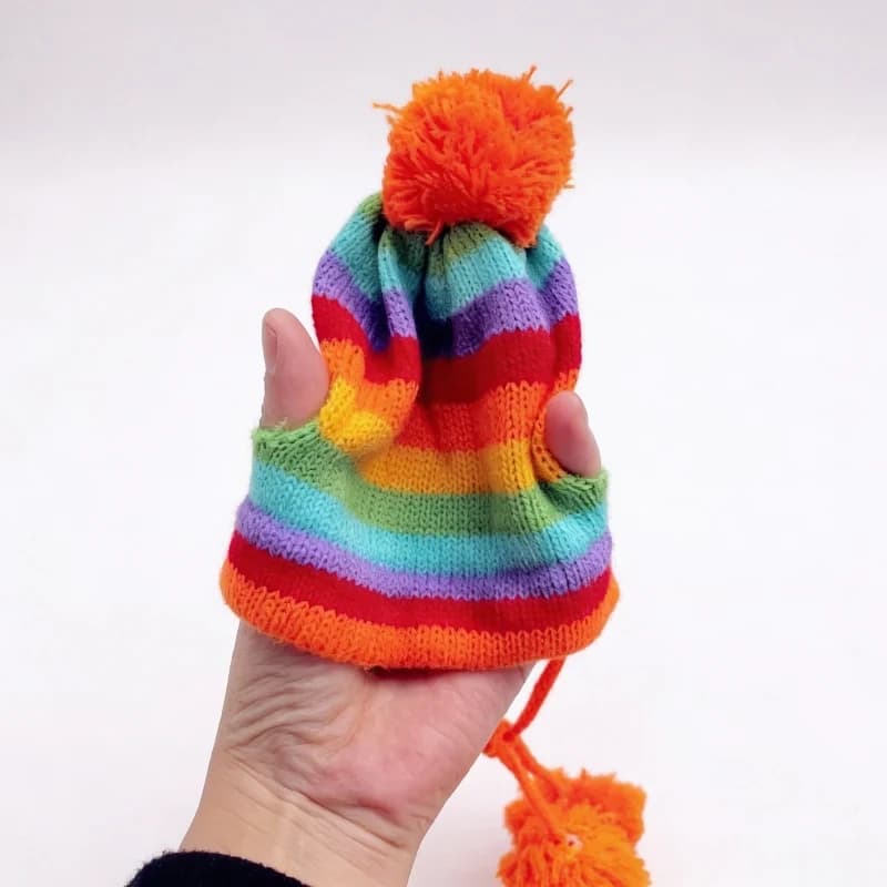 Colourful rainbow striped dog costume with matching pom pom hat and scarf shown on a small pet