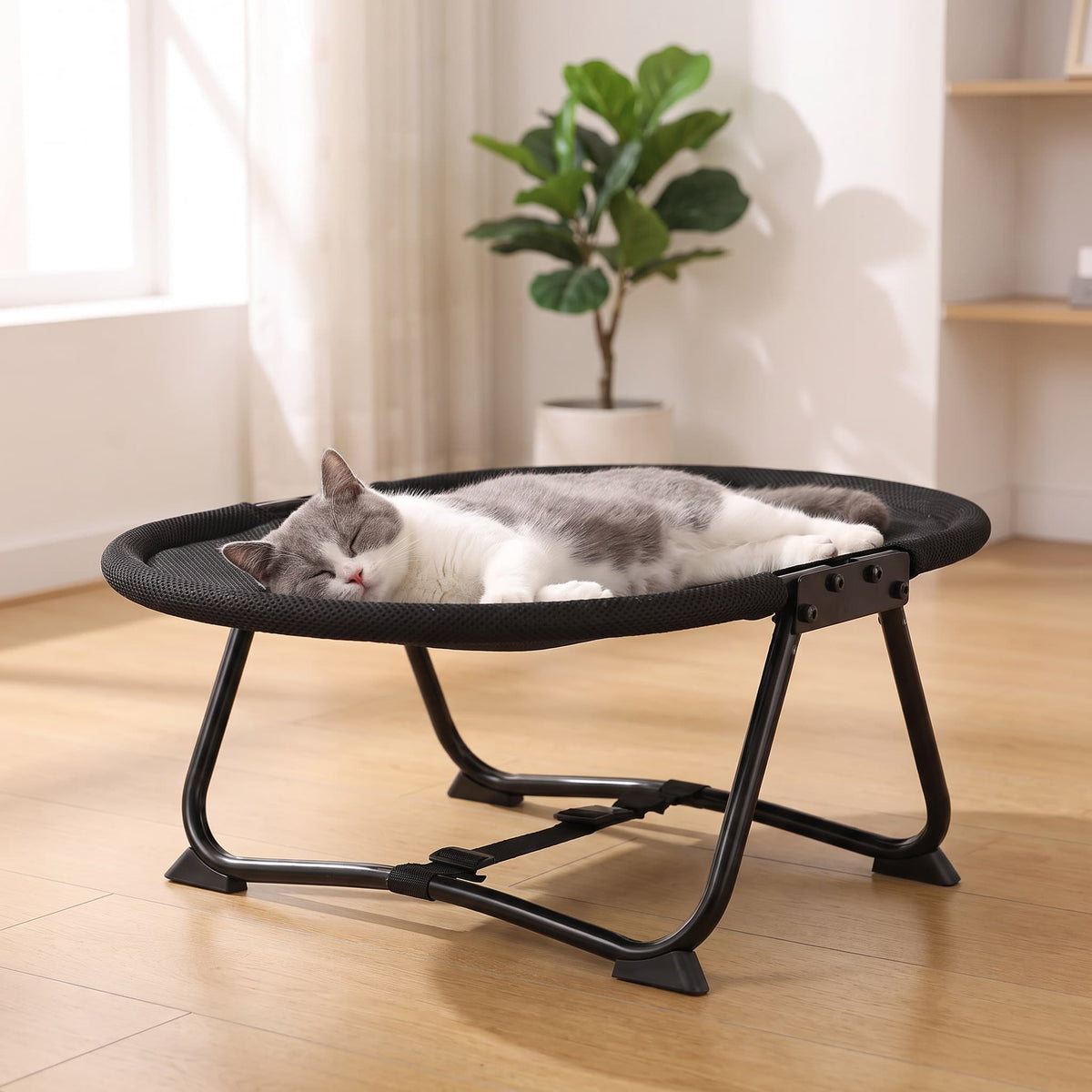 Cat resting comfortably on a raised round hammock bed in a modern home