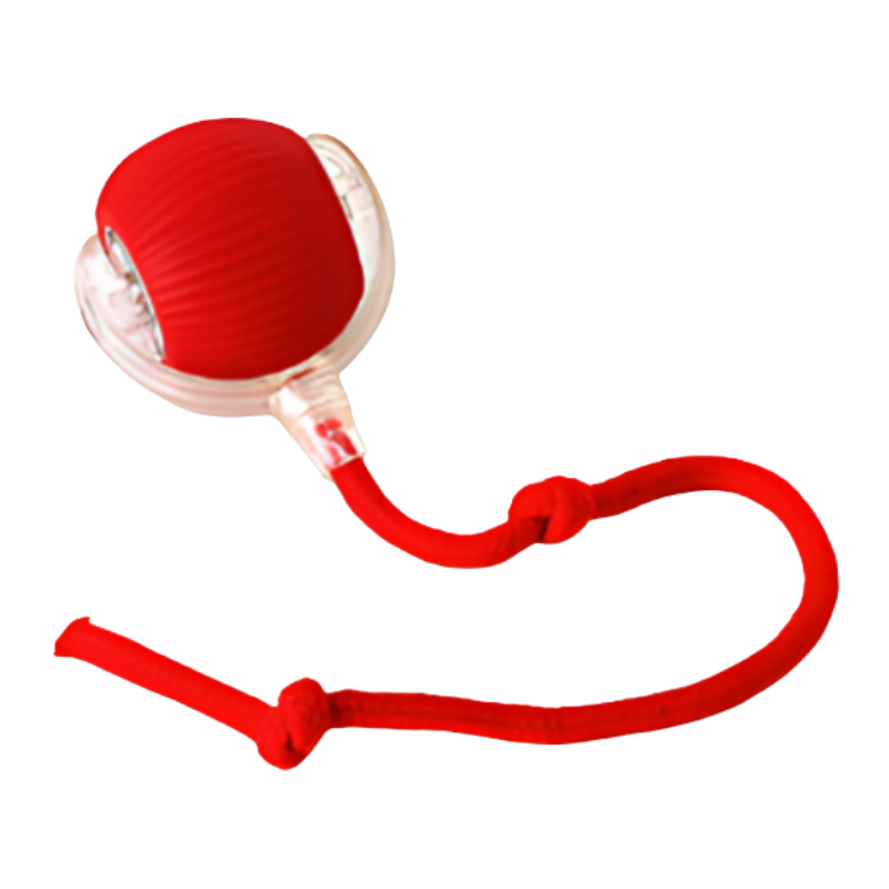 ScritchPets Interactive Dog Chase Ball