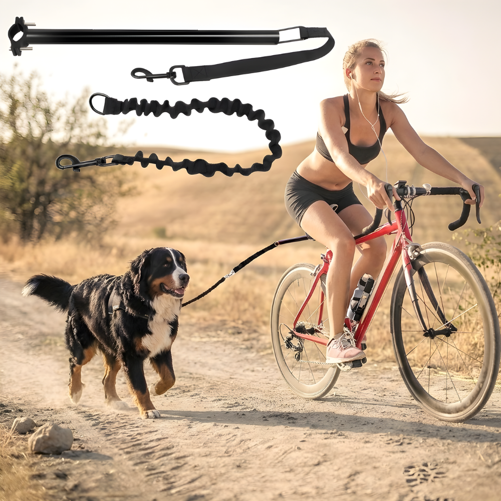 ScritchPets Bicycle Dog Leash Attachment