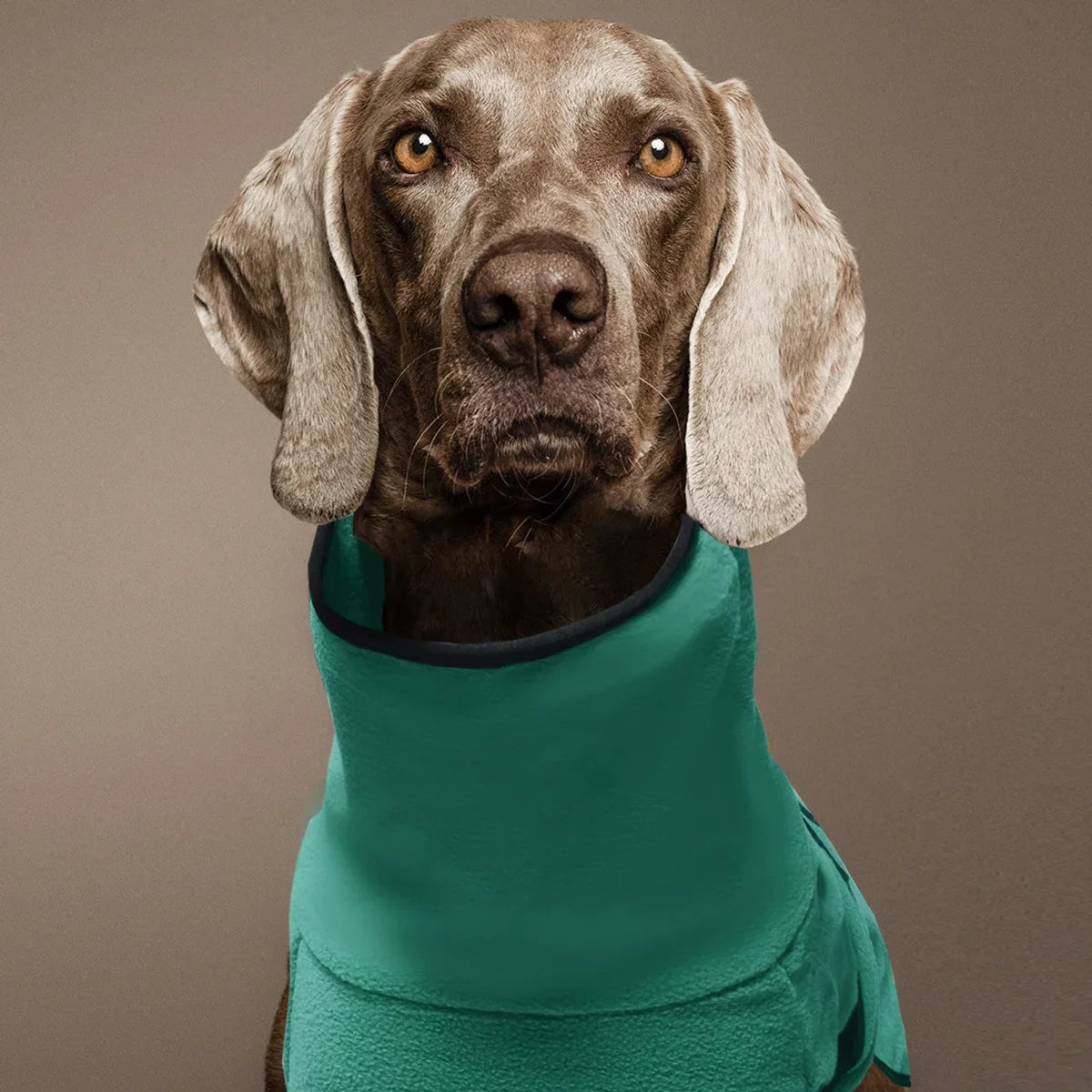 ScritchPets Elite Winter Dog Parka