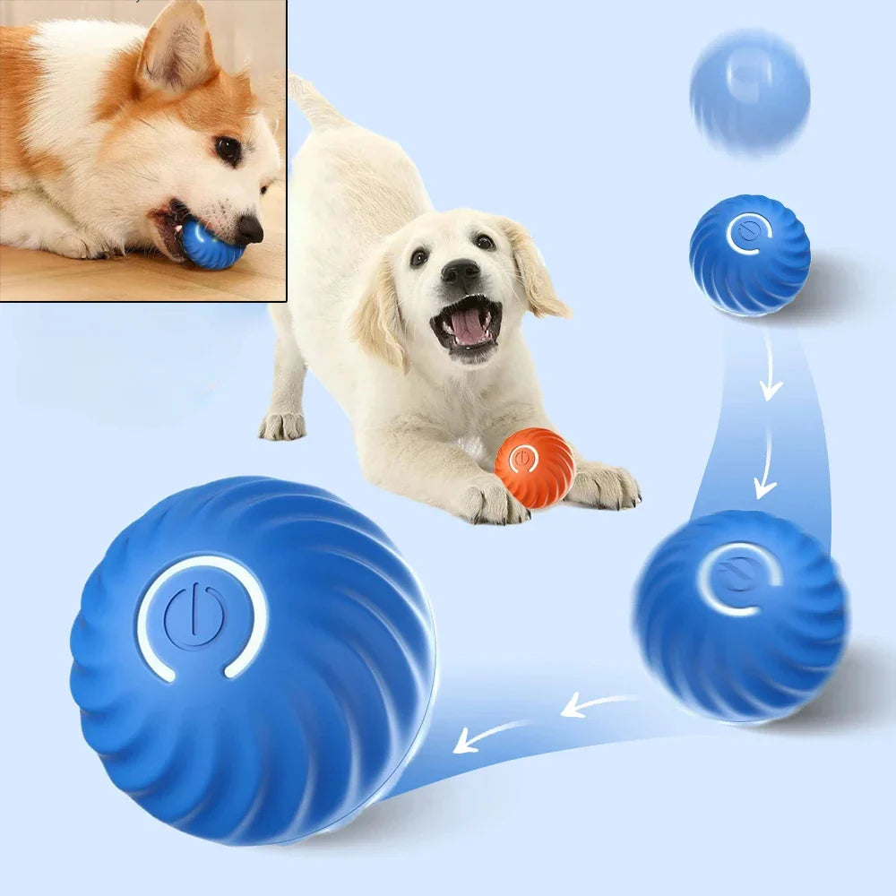 ScritchPets Automatic Smart Moving Dog Toy Ball