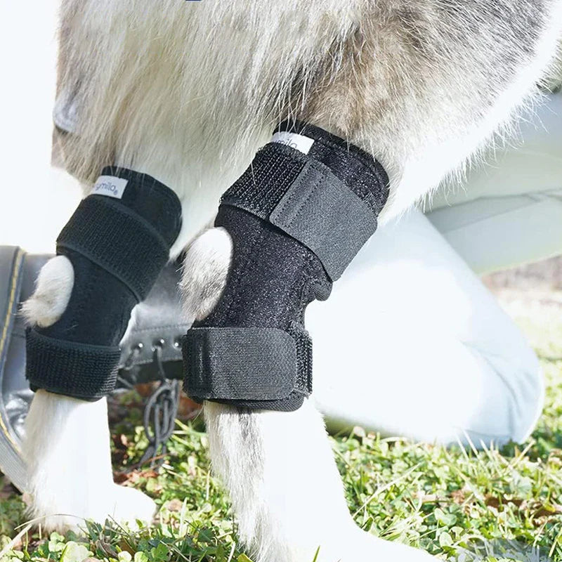 ScritchPets Dog Leg Support Wrap
