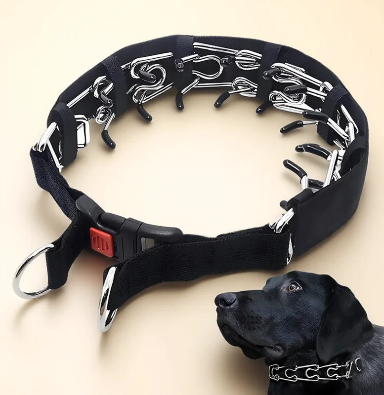 Dog Prong Training Collar Choke Pinch Collar with Rubber Comfort Tips Quick Release Snap Buckle Adjustable for Puppies Dogs by PawHaven