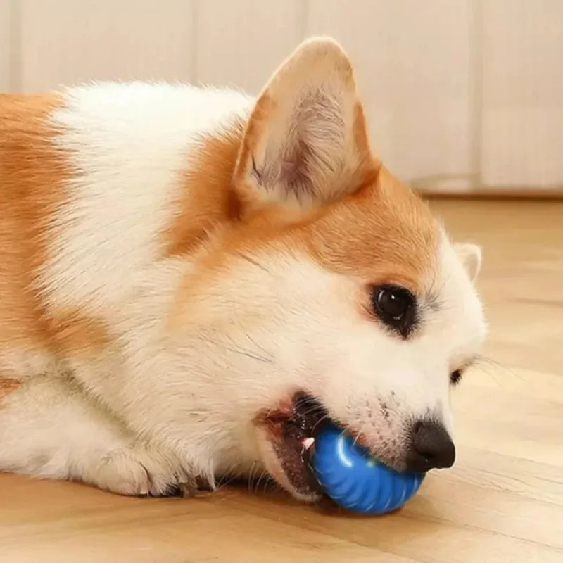 ScritchPets Automatic Smart Moving Dog Toy Ball