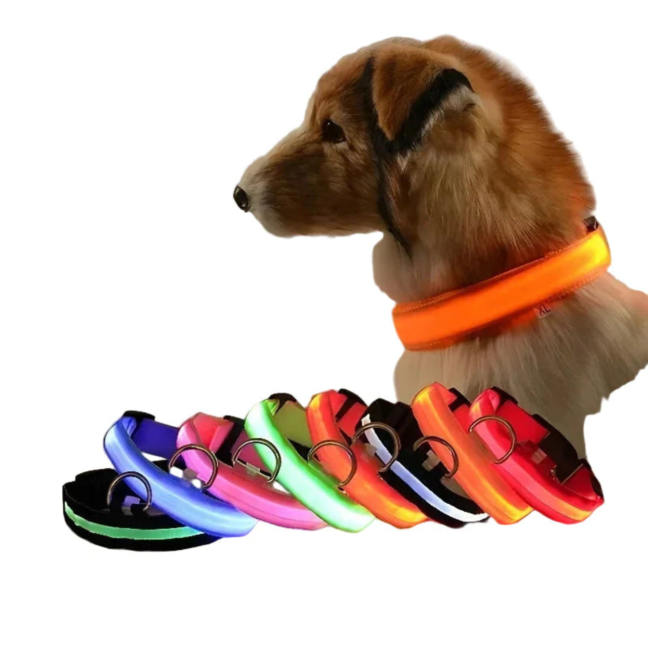ScritchPets GlowSafe LED Dog Collar