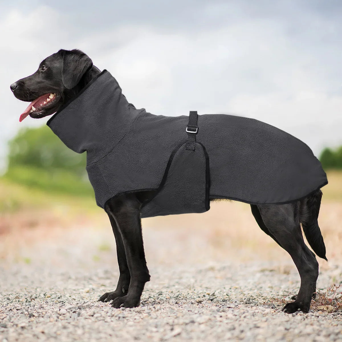 ScritchPets Elite Winter Dog Parka