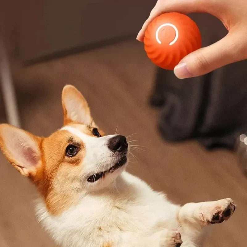 ScritchPets Automatic Smart Moving Dog Toy Ball