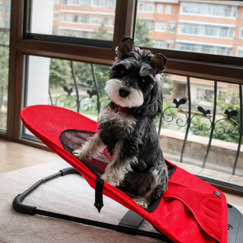 ScritchPets Elevated Pet Rocking Bed