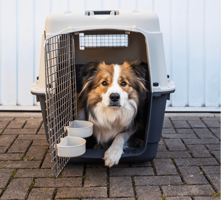 Henry Wag Dog Travel Kennel