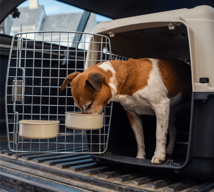 Henry Wag Dog Travel Kennel - Image 2