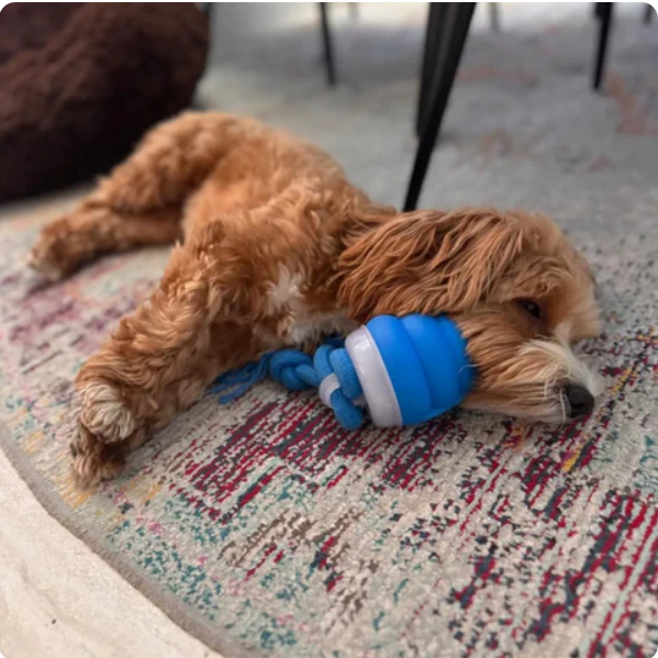 ScritchPets Interactive Dog Chew Ball