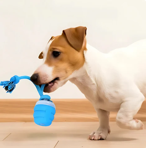 ScritchPets Interactive Dog Chew Ball
