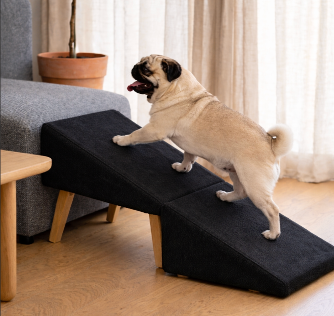 ScritchPets 2-in-1 Dog Ramp & Ottoman
