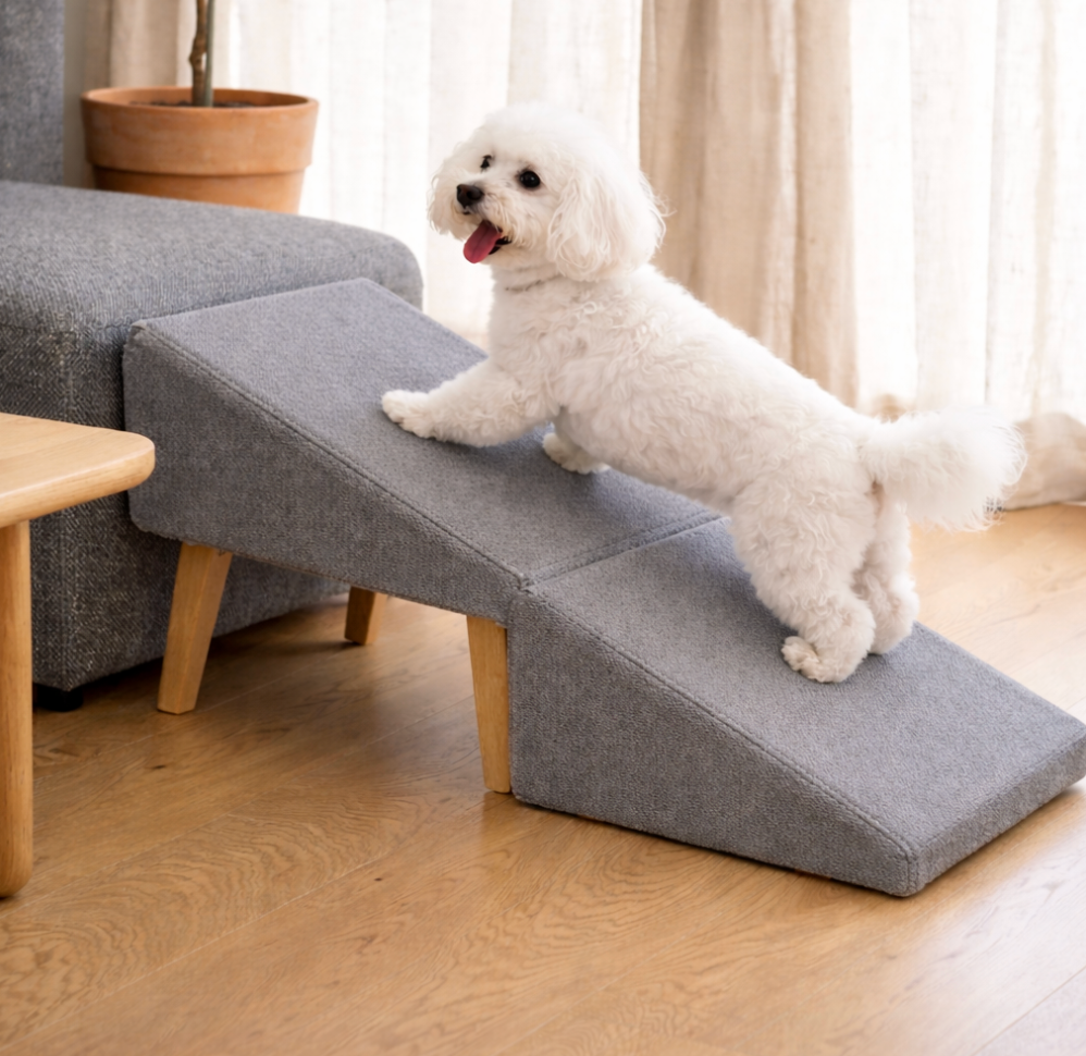 ScritchPets 2-in-1 Dog Ramp & Ottoman