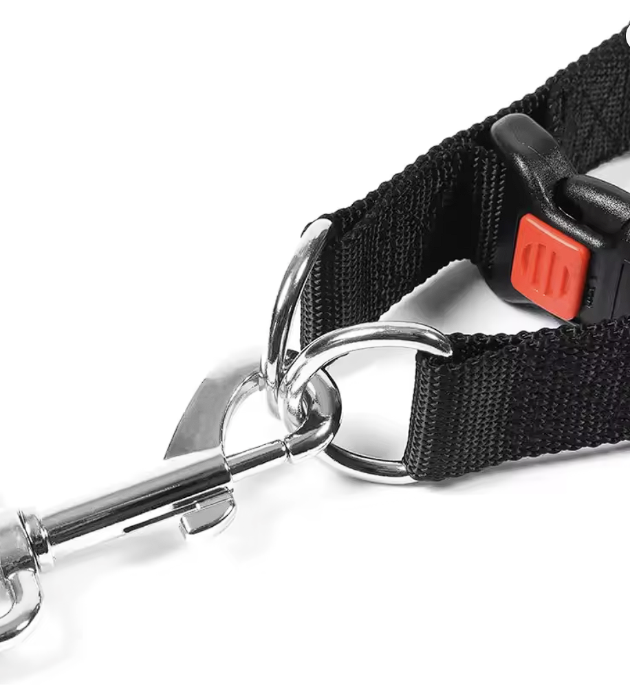 ScritchPets Prong Training Collar with Comfort Tips