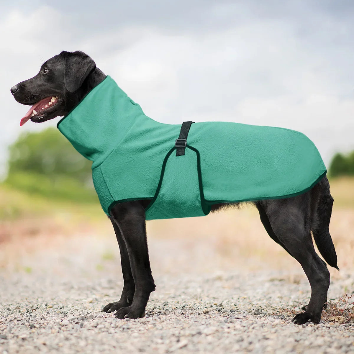 ScritchPets Elite Winter Dog Parka