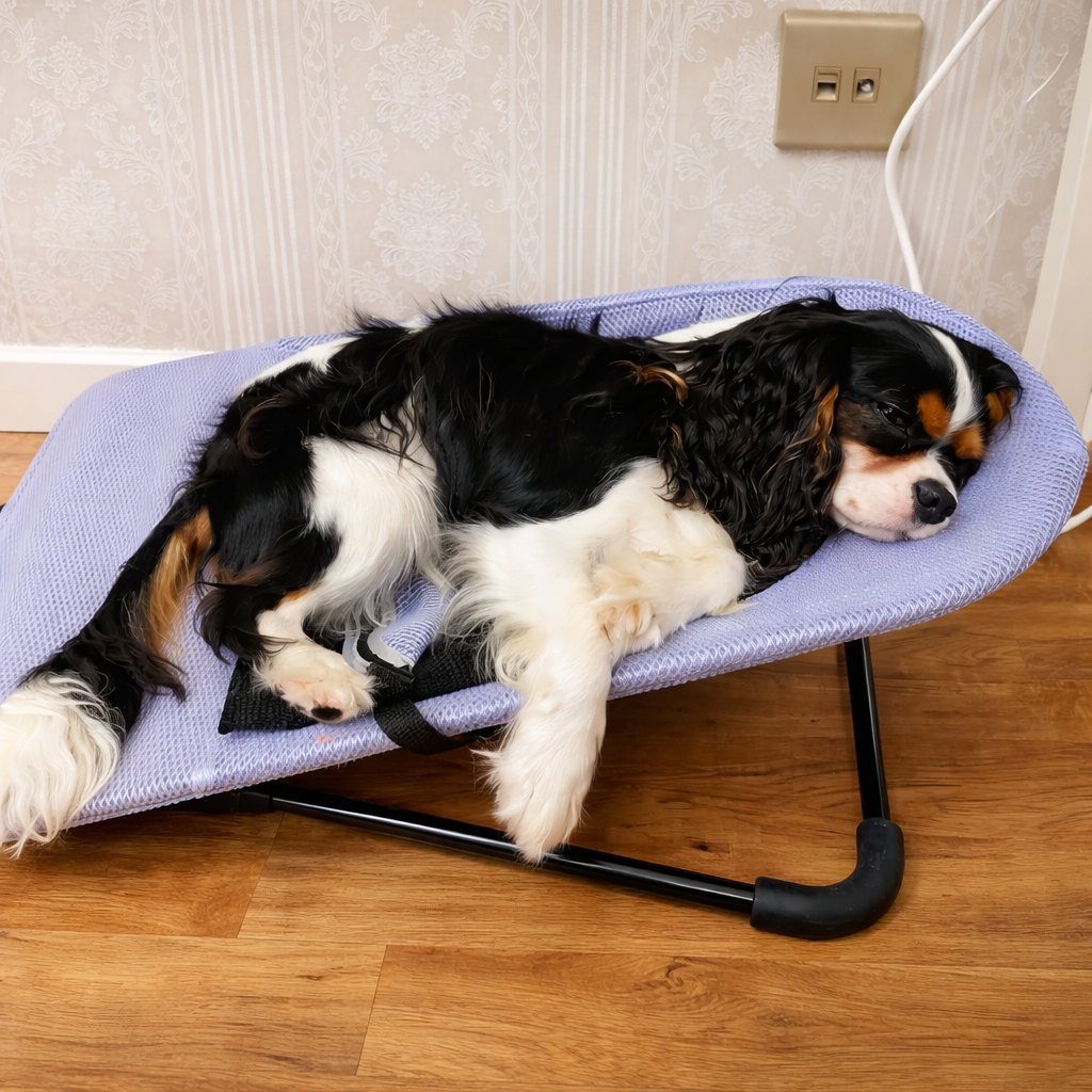ScritchPets Elevated Pet Rocking Bed