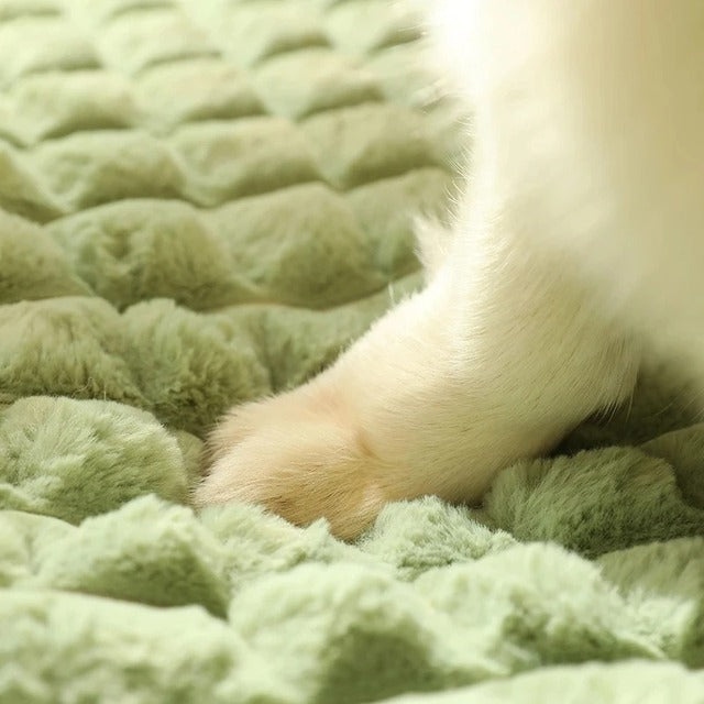ScritchPets Plush Warm Pet Dog Bed with Zip Cover