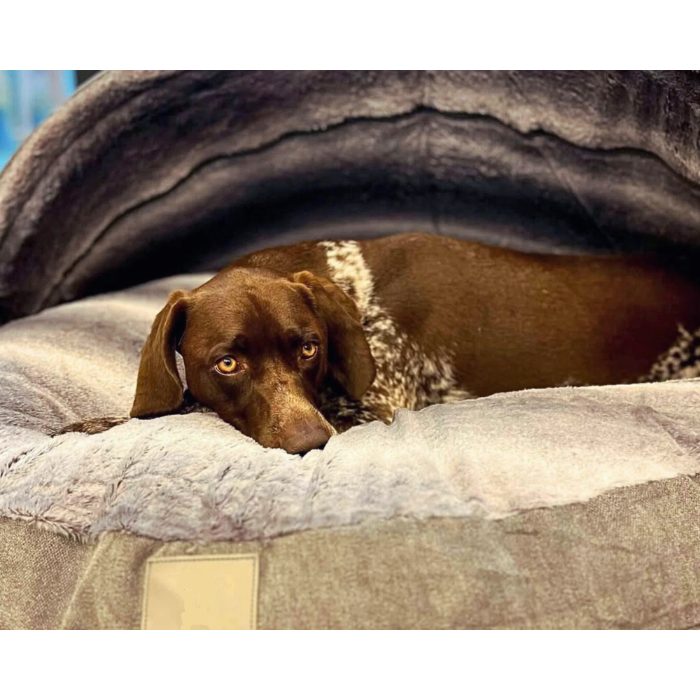 ScritchPets Covered Cave Dog Bed